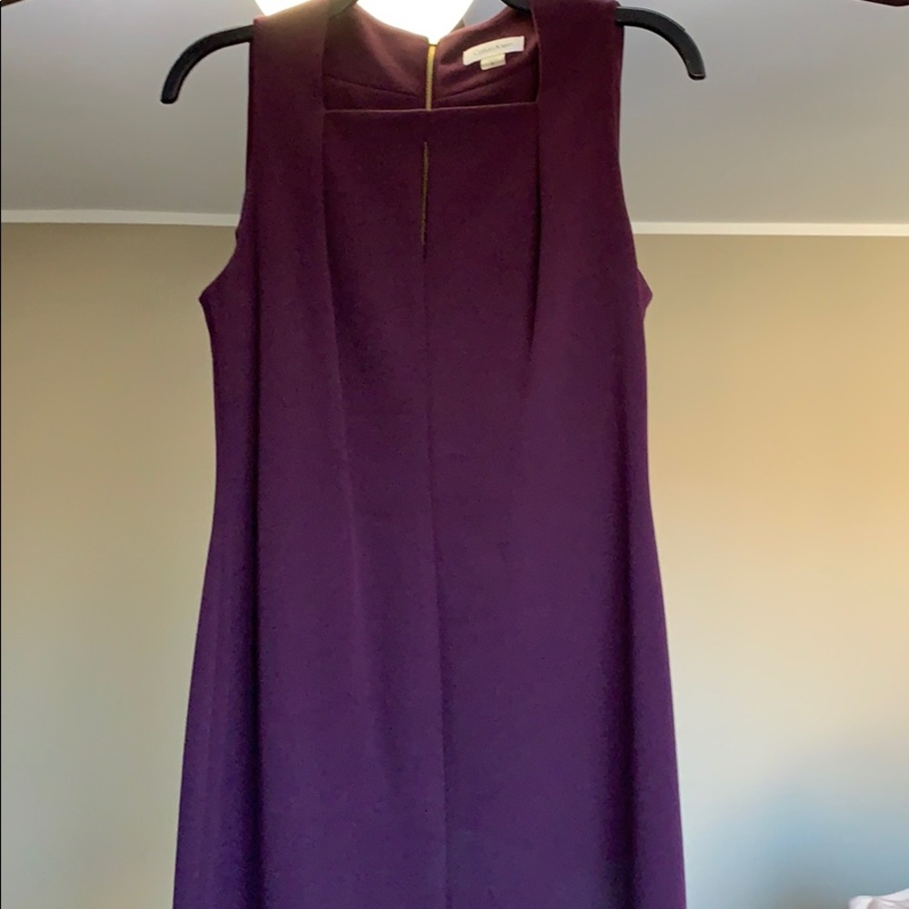 Calvin Klein Dress